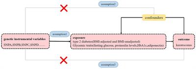 Causal relationships between type 2 diabetes, glycemic traits and keratoconus